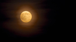 Illustration for article titled Las fotos más hermosas de la última superluna